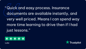 trustpilot instructor 1