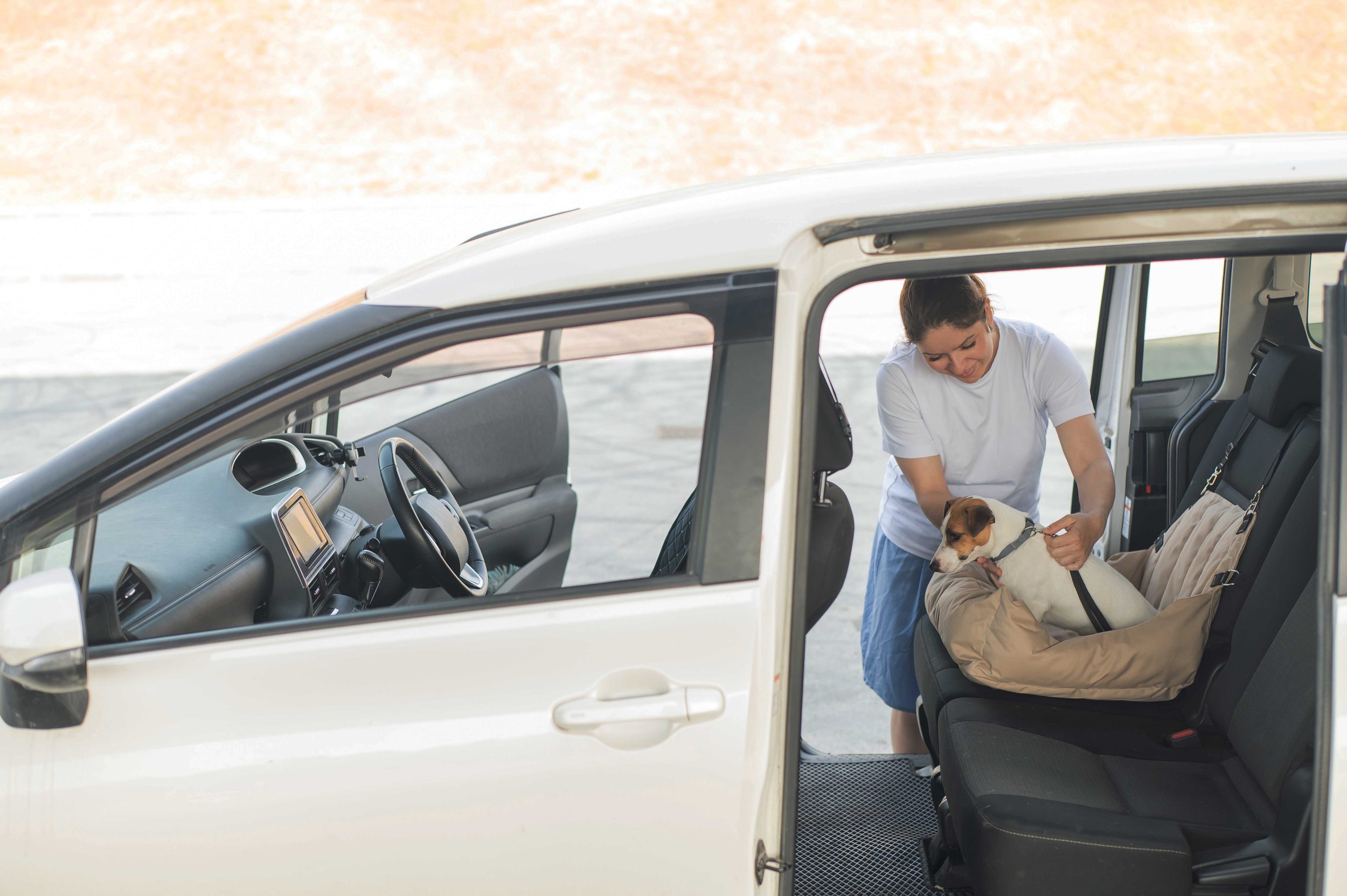 Driving with dogs: the dos and don'ts