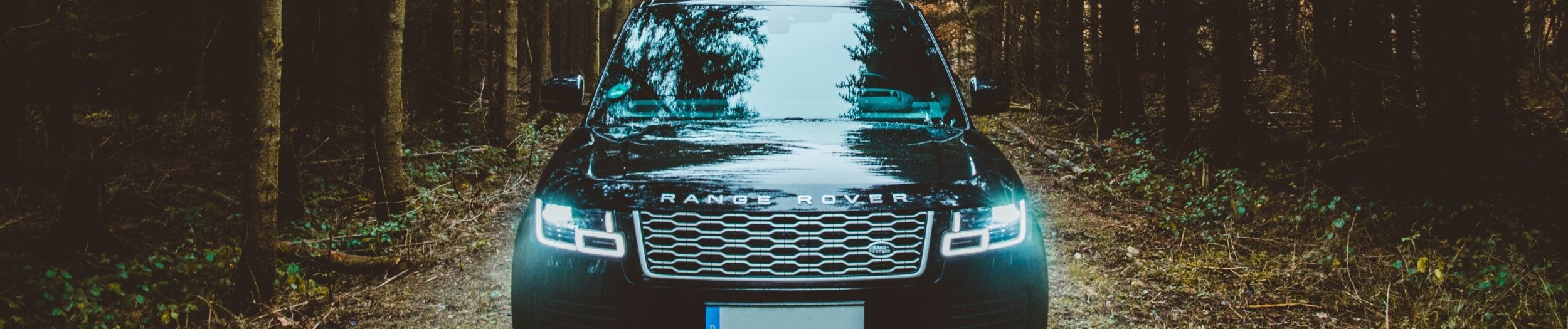 Range Rover in Forest