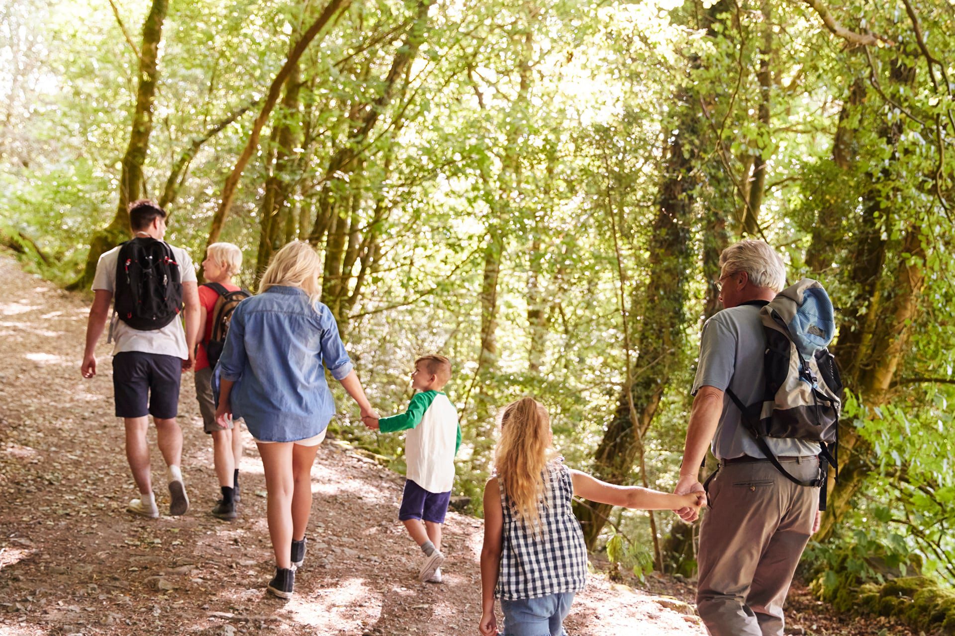 family walking through woodland