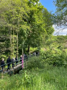 woodland trust smithills estate river