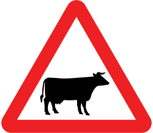 cattle crossing road sign