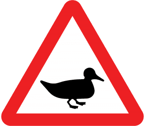 ducks or wild fowl likely in the road sign